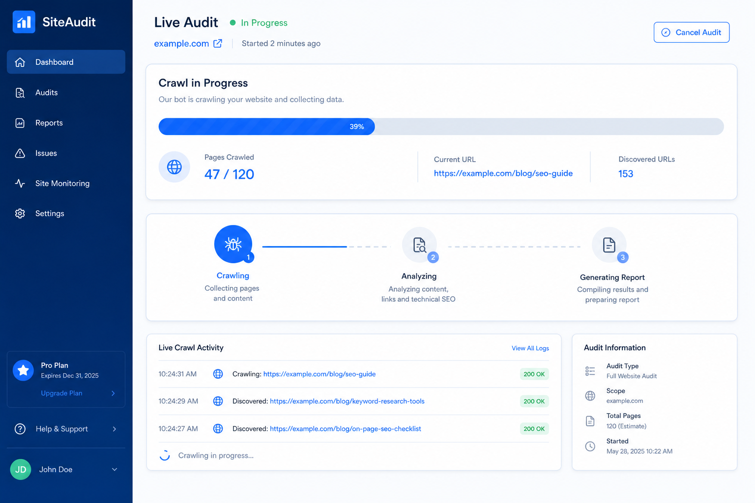 Live Audit Progress