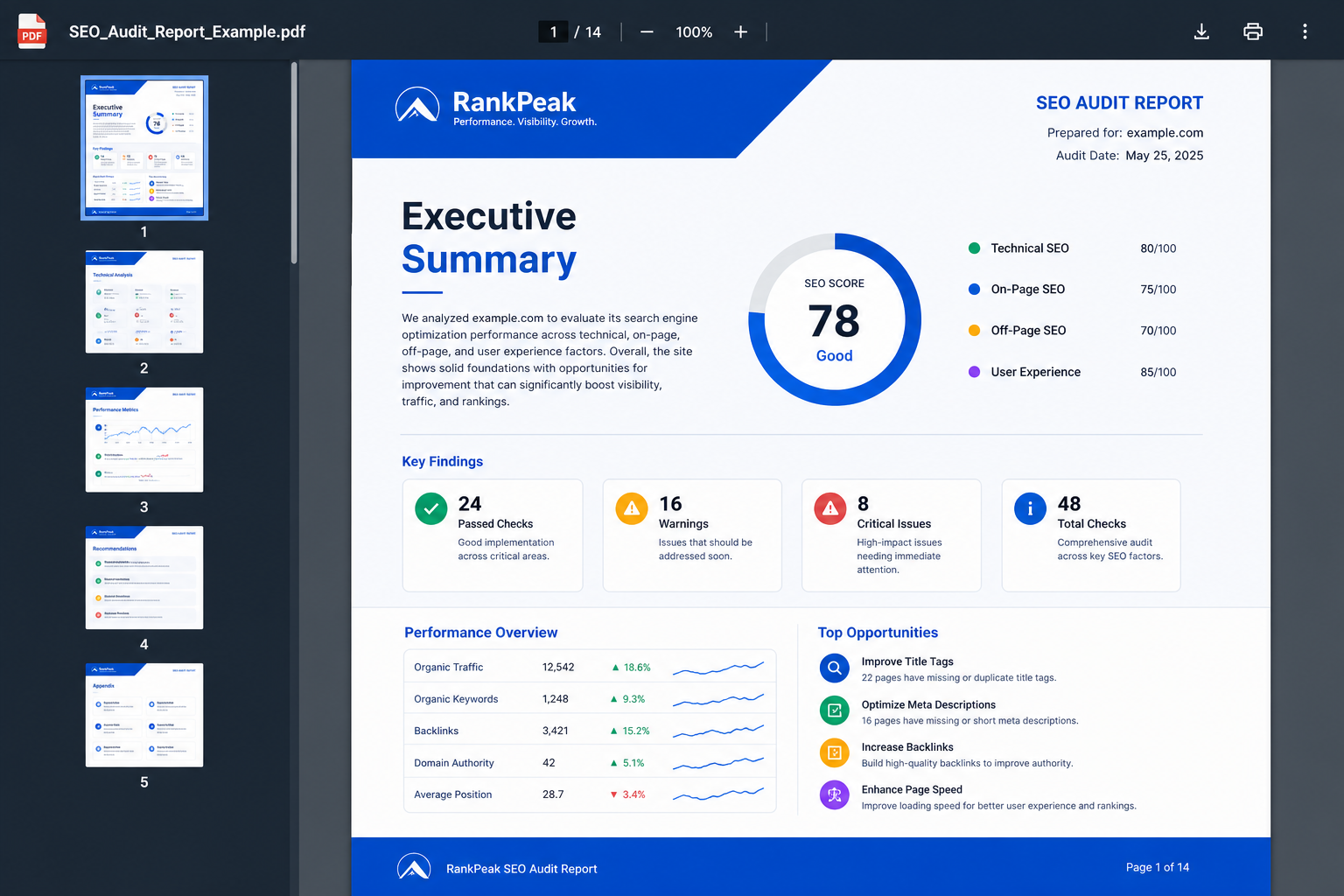 PDF SEO audit report